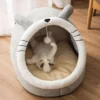 chinchilla