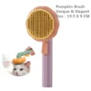 pumpkin-purple