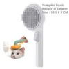 pumpkin-white