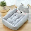 gray-akita