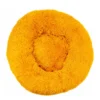 clear-orange