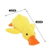 small-duck