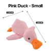 small-pink-duck