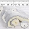 grey-bear