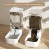 feeder-and-drinker