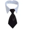 tie
